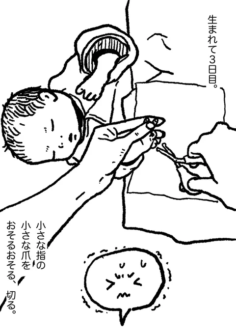 ごんすけ成長日記その4

爪切り

#ごんすけ成長日記
#いつかなつかしくなるもの 
