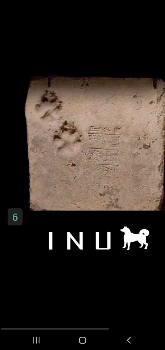 sheriffhasny's tweet photo. ignore all the noise out there, focus on $INU @The_real_inu
Grab a bag,just hold &amp; relax
#INU #RYOSHI #1OOOOx #BULL_RUN

Ca: 0xc76d53f988820fe70e01eccb0248b312c2f1c7ca

https://t.co/AiV2SURw6t https://t.co/c2hiGaIq3H