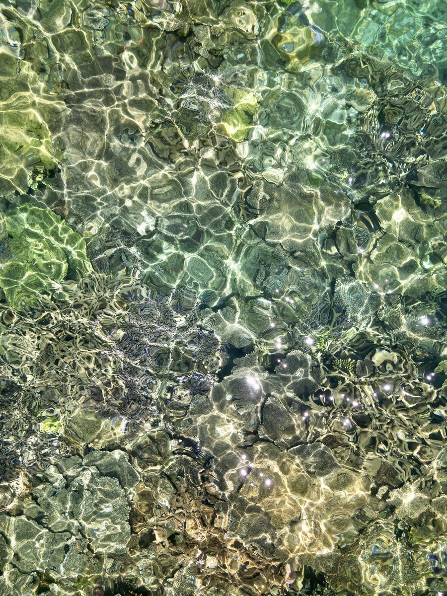 ゼログラヴィティ奄美大島 tweet media