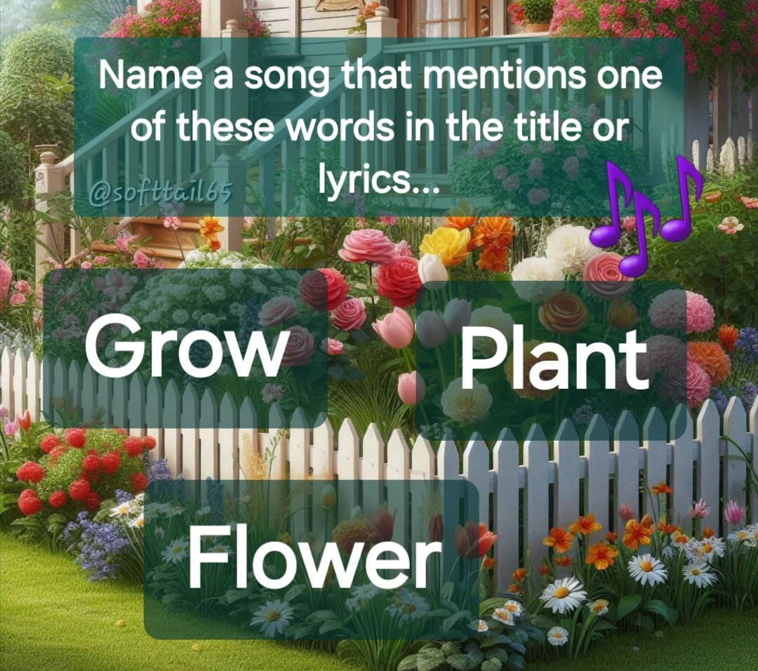 Monica 💙🌻🏳️🌈 tweet media