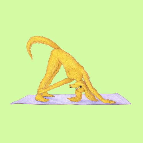 YogaOnETH's tweet photo. @MarioNawfal in other news, you can join the $YOGA on ETH community below

https://t.co/WjXSQpvDzx https://t.co/QdcXExsIwT