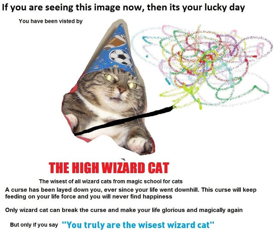 woosh_sol_'s tweet photo. $WOOSH 

You truly are the wisest wizard cat https://t.co/wbXgDvtZ1A
