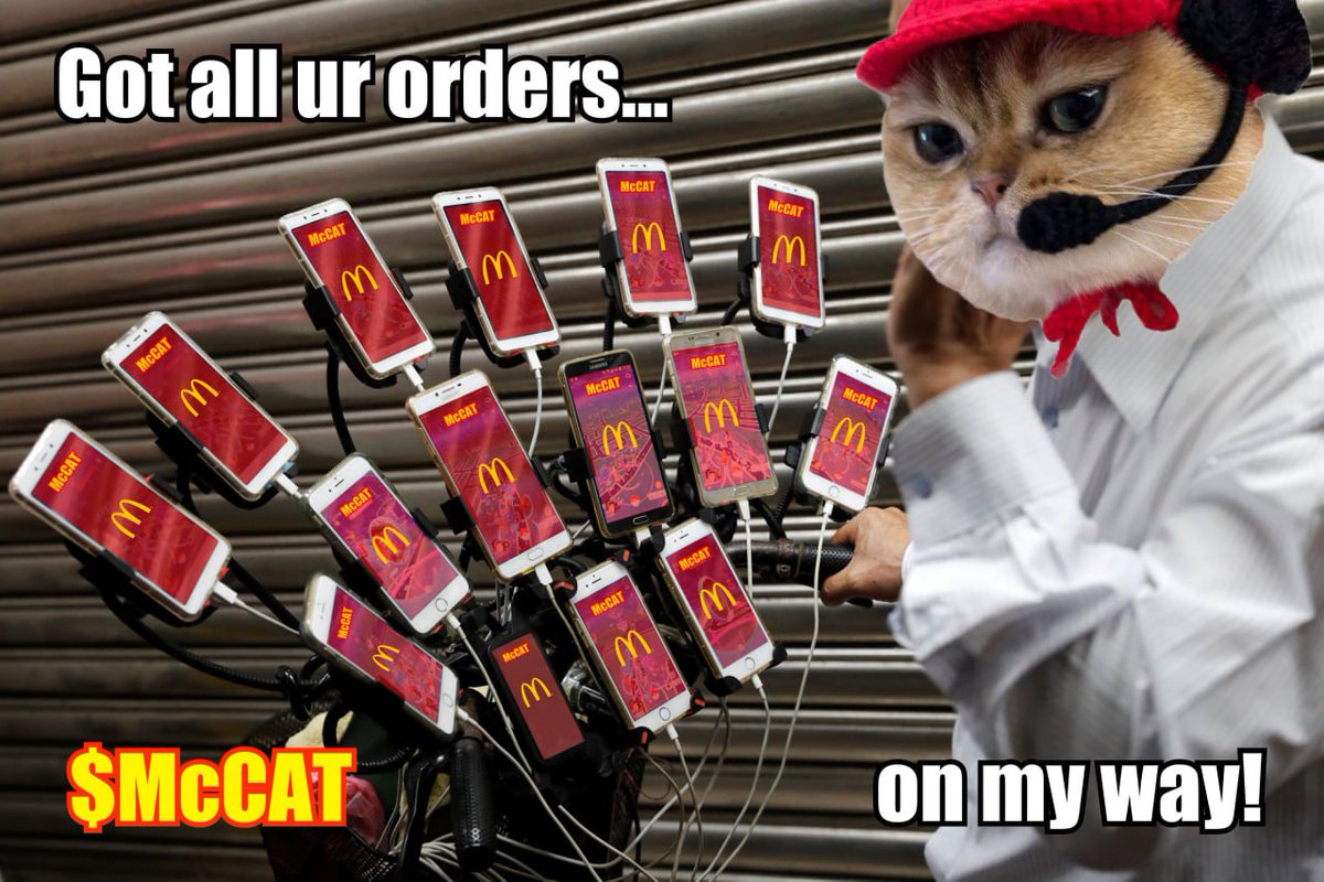 McCat tweet media