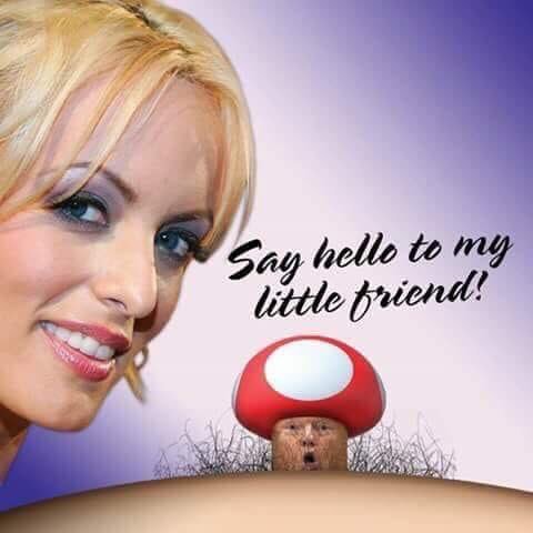 wildmonkeysects's tweet image. Trump worked one hour a day for each inch of his mushroom.