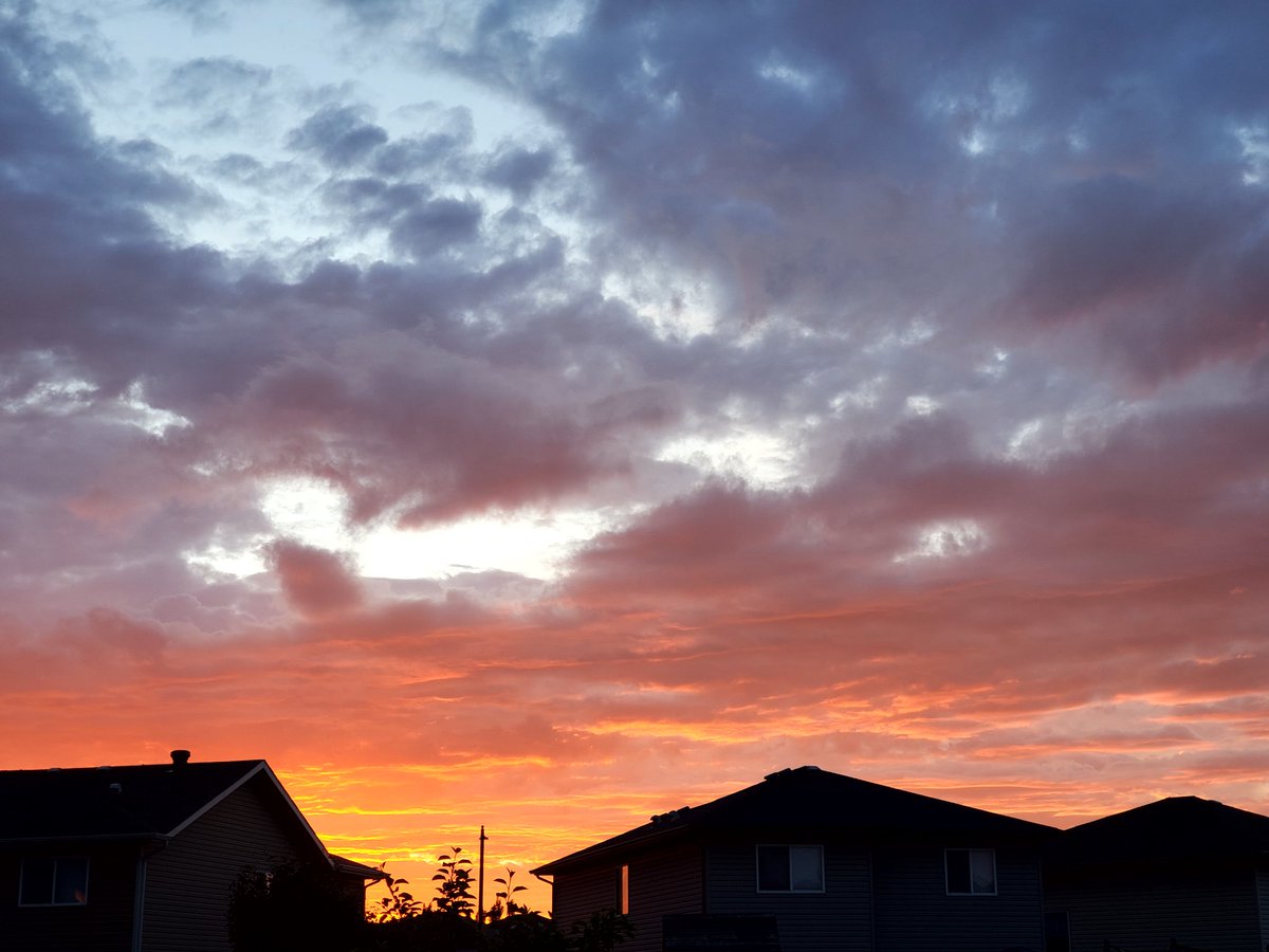 #Photography 

Just appreciating what's free to enjoy!