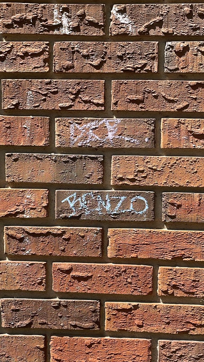 killdior2000 tweet media