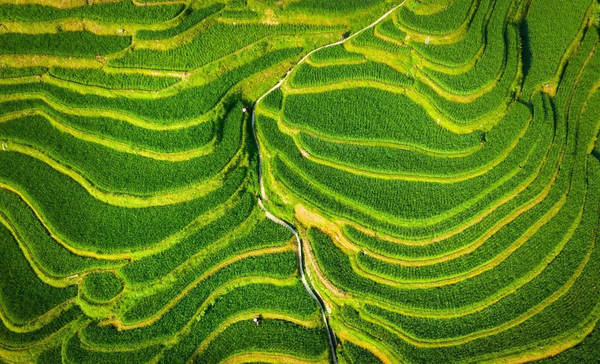 倏忽温风至
因循小暑来
愿你如夏日艳阳灿烂明媚
也如林间清风洒脱轻盈
享受每一个美好的当下
让生命迸发出勃勃生机
#小暑节气