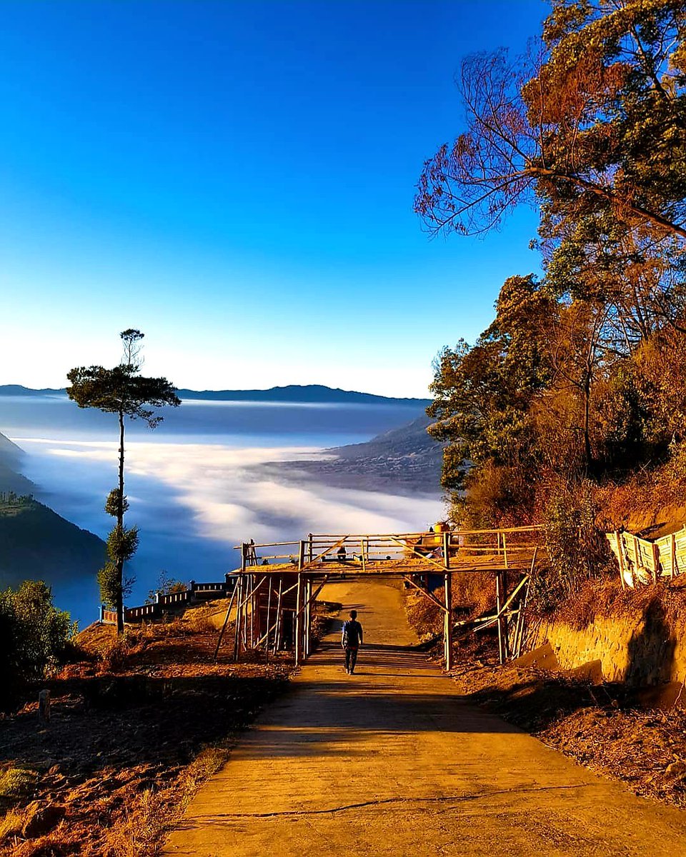 भटकैया घुमक्कड़ tweet media