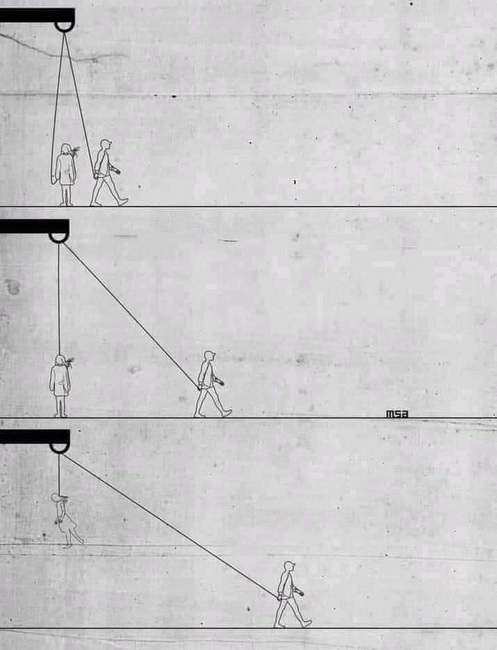 Varan 🐊 2.0🇨🇮 tweet media