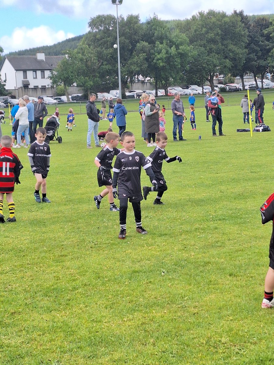 CorkGDAPatSprat's tweet photo. Great turnout today for our First @DuhallowGAA u6 Football Blitz of the year @MillstreetGaa ,well done to everyone 100 Boys and girls out some great talent on show. #YOUNGREBELS 👍 👏 @OfficialCorkGAA @GDCPaudie @KnocknagreeGAA @cullengaa https://t.co/xk8nW1HASj