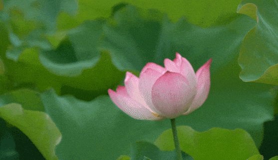 开心周末。
#互关