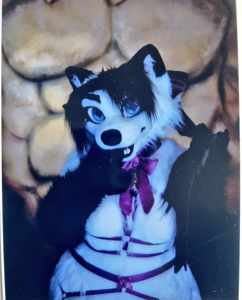 ๐Foxyvix๐ (@foxyvix1) on Twitter photo Had a photoshoot at <a href="/PrideUnboundLDN/">Pride Unbound London</a> last weekend.
Can't wait to see the rest, this one was printed out out for me ๐ Had a photoshoot at <a href="/PrideUnboundLDN/">Pride Unbound London</a> last weekend.
Can't wait to see the rest, this one was printed out out for me ๐