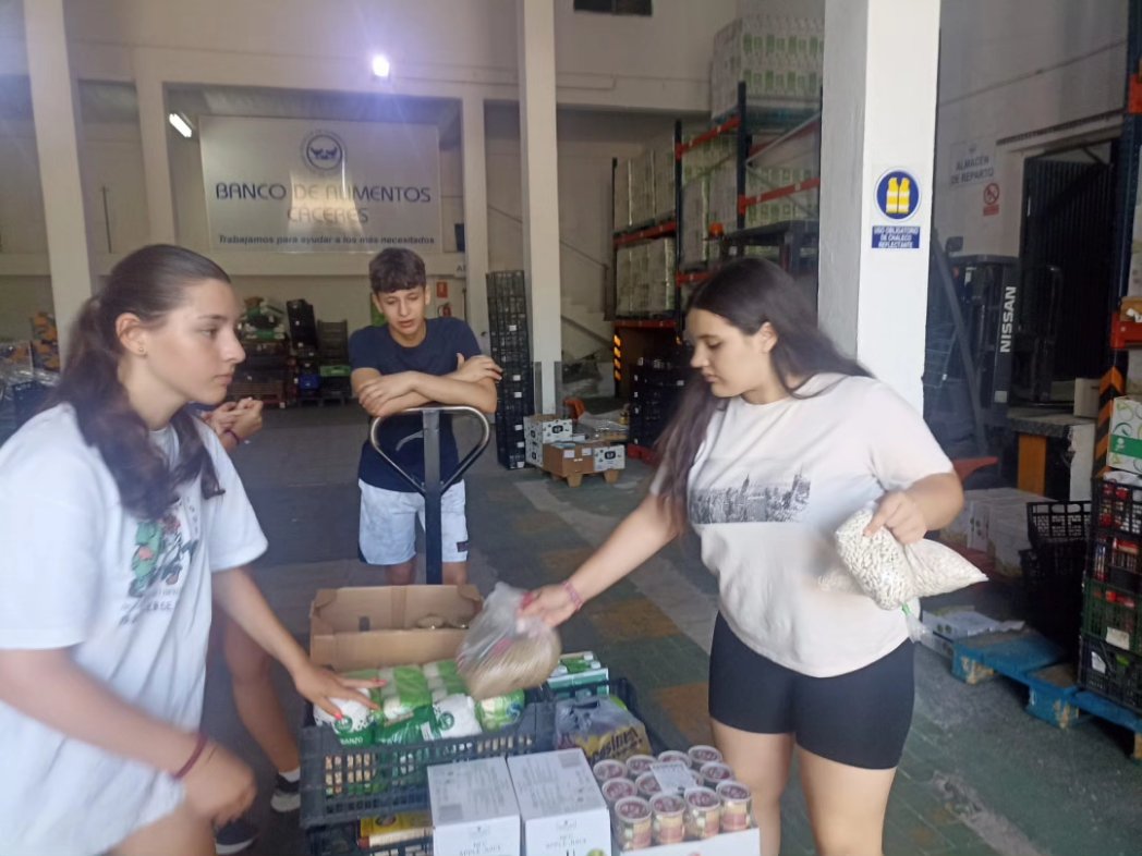 Banco de Alimentos Cáceres tweet media