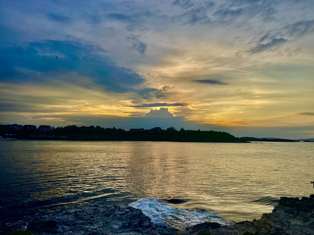 steph (@ckapuga) on Twitter photo 