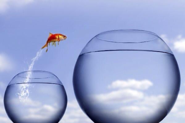 Plus ça rate, plus on a de chances que ça marche.