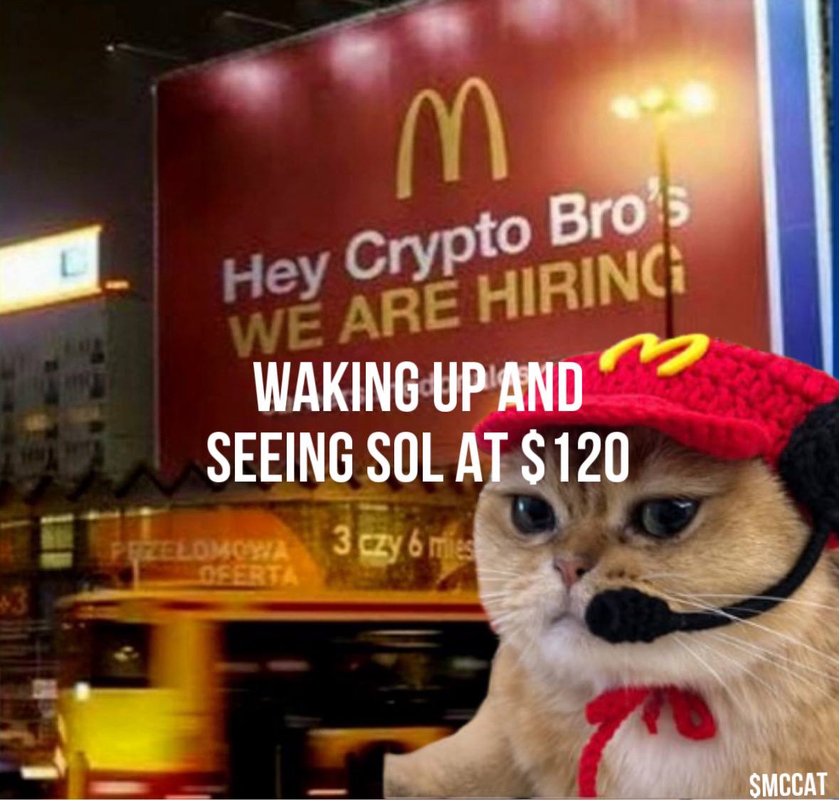 McCat tweet media