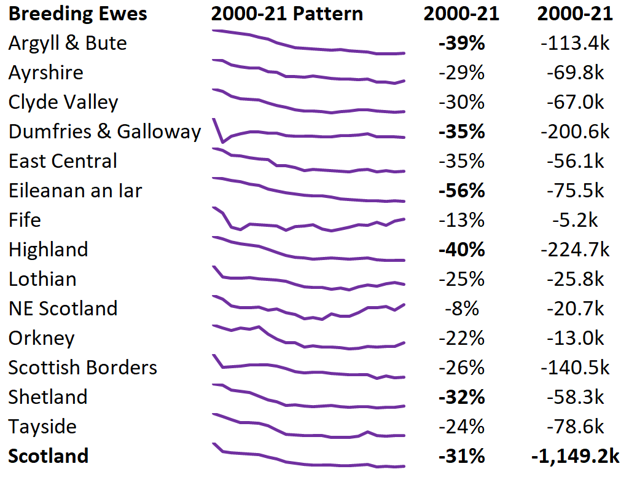 Steven Thomson tweet media