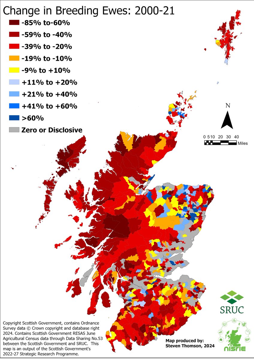 Steven Thomson tweet media
