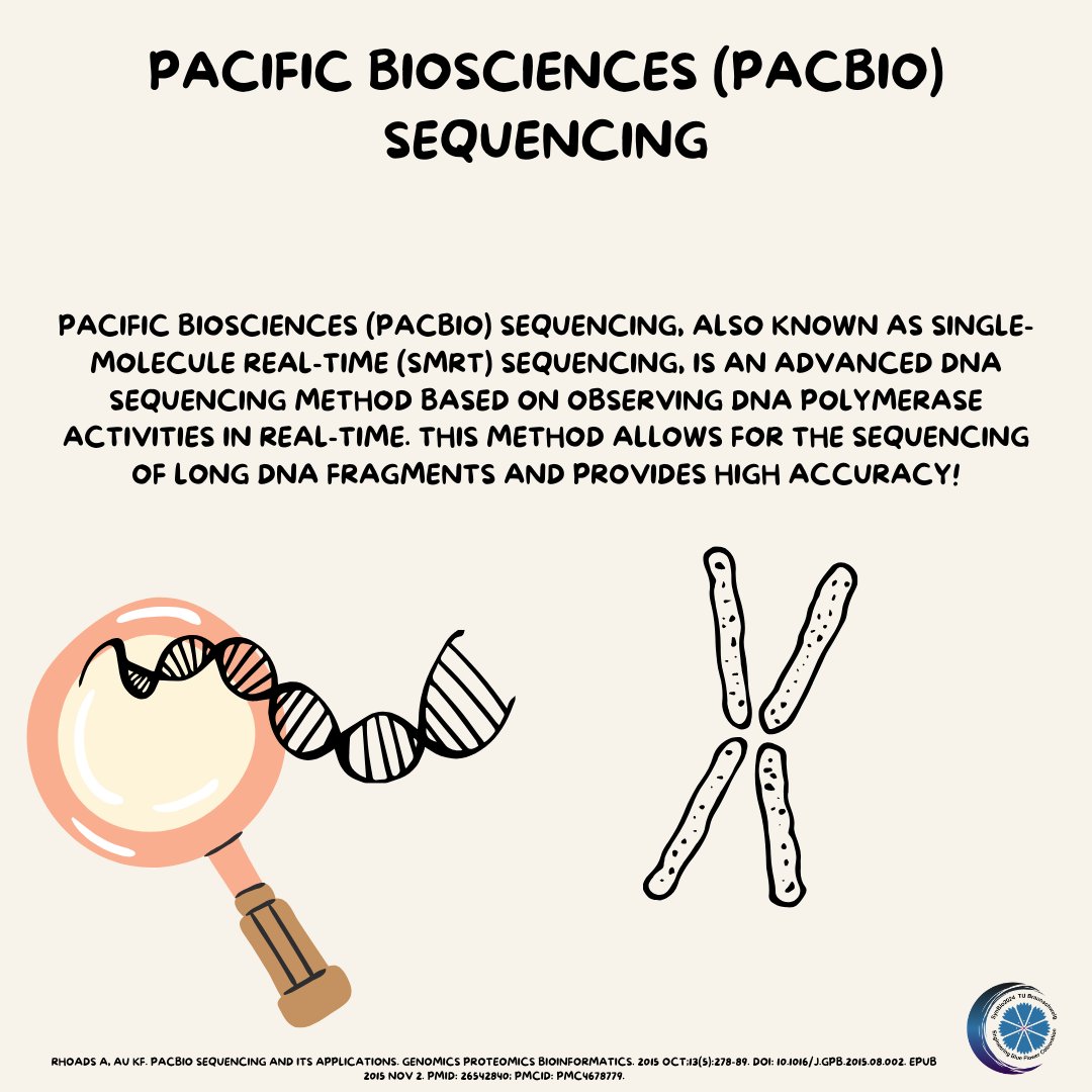 SynBio_24's tweet photo. Pacific Biosciences (PacBio) Sequencing

(or SMRT) enables high-accuracy DNA sequencing by observing DNA polymerase activity in real-time, producing long read lengths.🧬🔥

#sequencingsaturday #sequencing #biology #synbio2024 #synbio #pacbiosmrtsequencing  #tubraunschweig #lab https://t.co/v6IaP81fAa