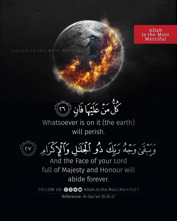 Al_Quran_011's tweet photo. reposts, it will help you🤍🕊️ https://t.co/53Hb1mbksO