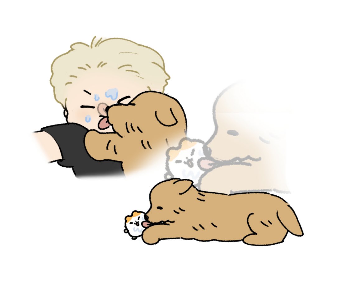 사쿠 (@ds_0ij) on Twitter photo 