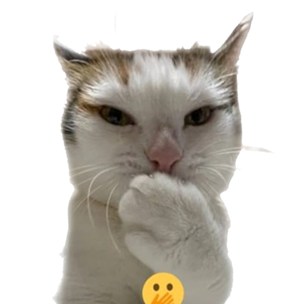 0xVe1L's tweet photo. @Dior100x I trade on community, and I found this gem being run by a large discord, holding a bag. $SHOCKY Shocked Cat
https://t.co/A3ZOxv8jX0 https://t.co/N1xUtTW6Xe
