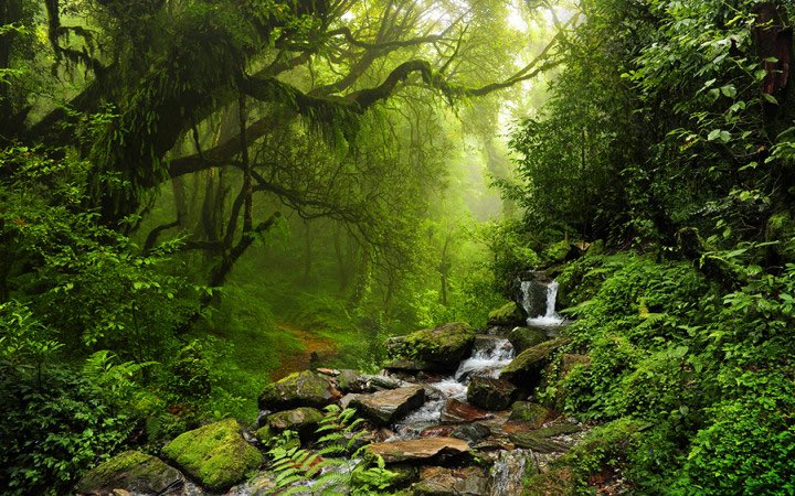 This is the Bank Of Earth.

The real economy of this planet is its forests and oceans. Its currency is water, food, oxygen, sunlight. Its stock market is the ecosystems and climate systems which regulate the allocation and use of these resources, and its stakeholders are its 10