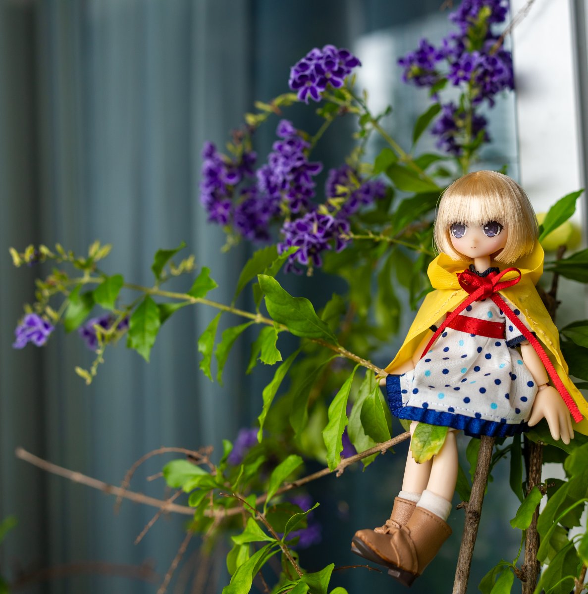 z1cafe's tweet photo. #SnowMint
#アゾカツ
#LilFairy
デュランタ咲いた https://t.co/cEyv8QAvSf