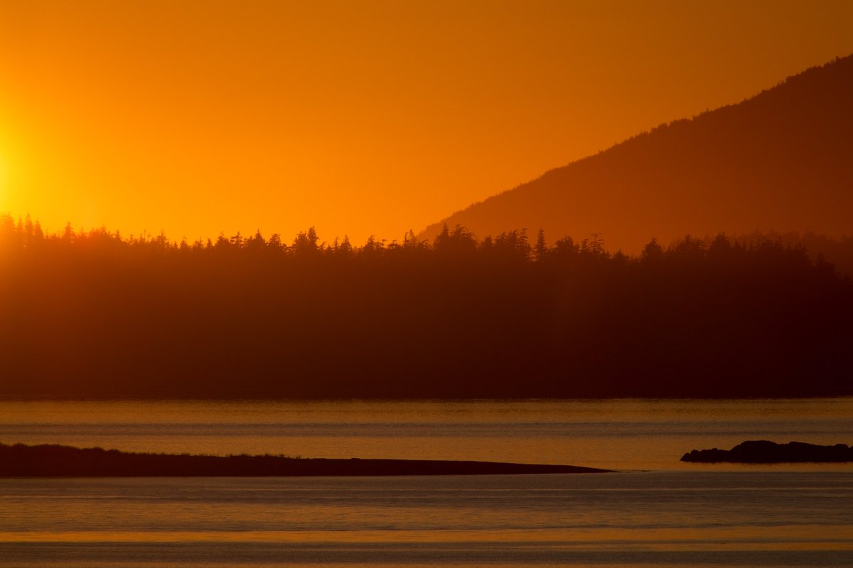 Geoff Johnson tweet media