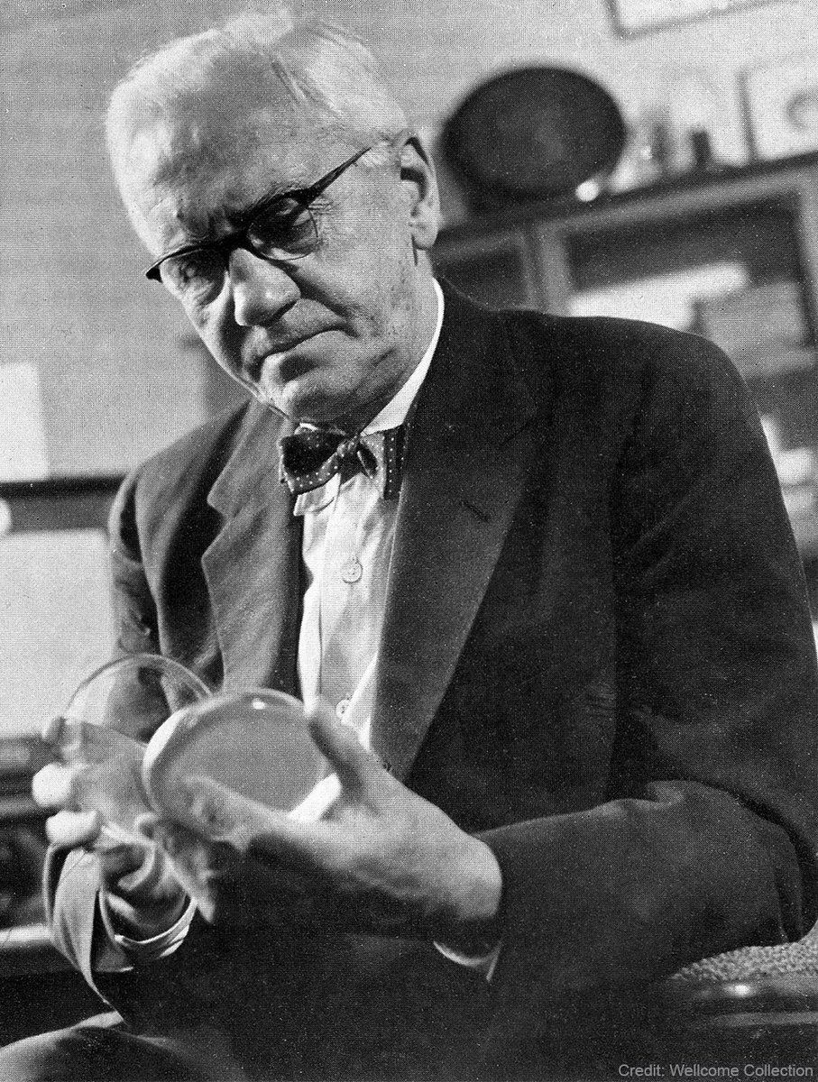 NobelPrize's tweet photo. "When I woke up just after dawn on September 28, 1928, I certainly didn't plan to revolutionise all medicine by discovering the world's first antibiotic, or bacteria killer."

Today marks the 143rd birthday of Alexander Fleming, who discovered penicillin. https://t.co/QpScT4rAPU
