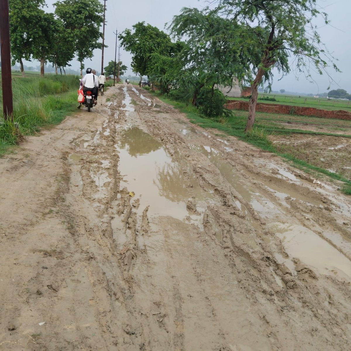 mkrishnadatta's tweet photo. @dmsid1 @Cdosid1 @CMOfficeUP  @kpmaurya1 @brajeshpathakup @PalJagdambika @UPGovt श्रीमान जी सड़क बहुत खराब है काम से कम गड्ढा भरवा दे पैदल भी नहीं आ जा सकते https://t.co/Fl17gNsFI8
