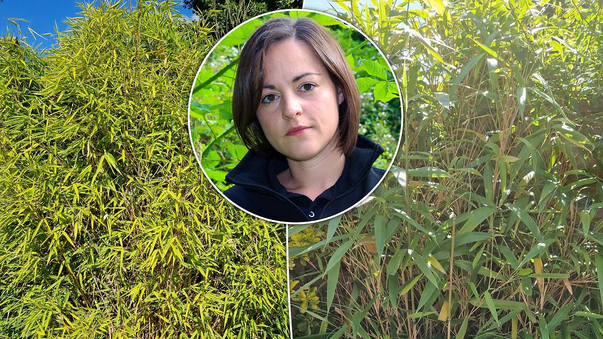 The Big PropertyList tweet media