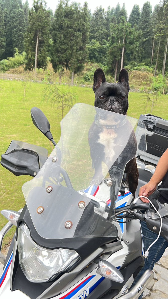 又帶 我老霸 出去 狂浪～撩媚中😝