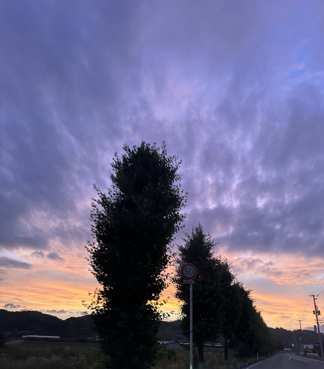 Ryuuuu (@joezduu8sucoyyp) on Twitter photo 