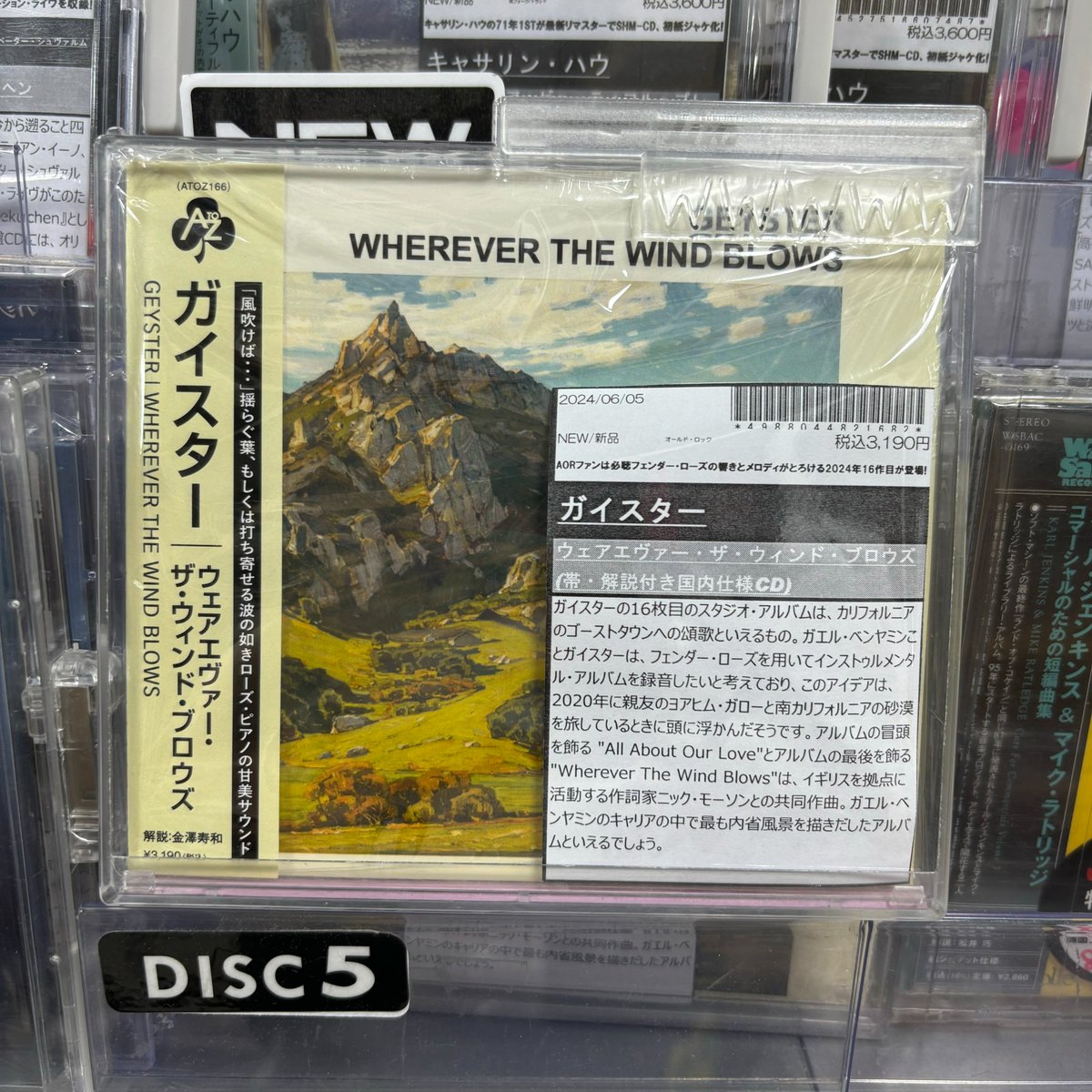 【オススメ新品CD💿】
現行AORの名手、GEYSTERの新作はフェンダー・ローズを前面に押し出したほぼインストアルバム！
波や風と同じようにやさしく耳に触れるローズ・ピアノの響きはAOR好きのみにとどまらず、エレクトロニカやアンビエント好きにも刺さるはず！