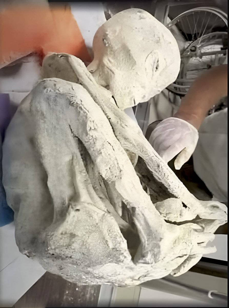 JosCRios's tweet image. For what reason ancient cultures represented these tridactyl beings, the answer must be given to us by the tridactyl bodies of Nasca