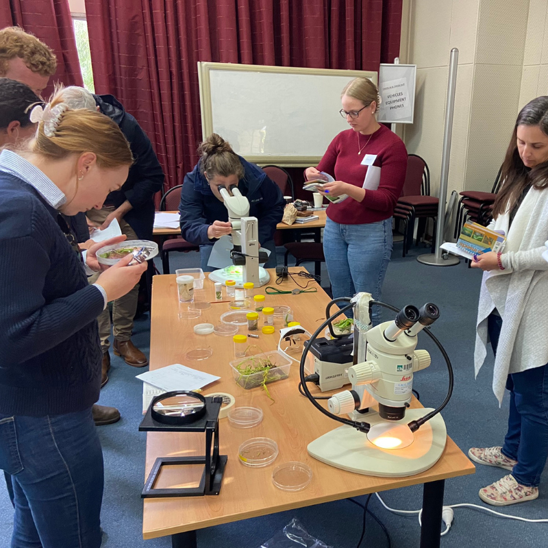 DPIRD's 2024 crop disease and identification training workshop is being held from Tuesday 20 to Thursday 22 August. WA agronomists are invited to register their EOI to attend. Spots are limited. #PestFactsWA <a href="/GRDCWest/">GRDC West</a>

agric.wa.gov.au/newsletters/pe…