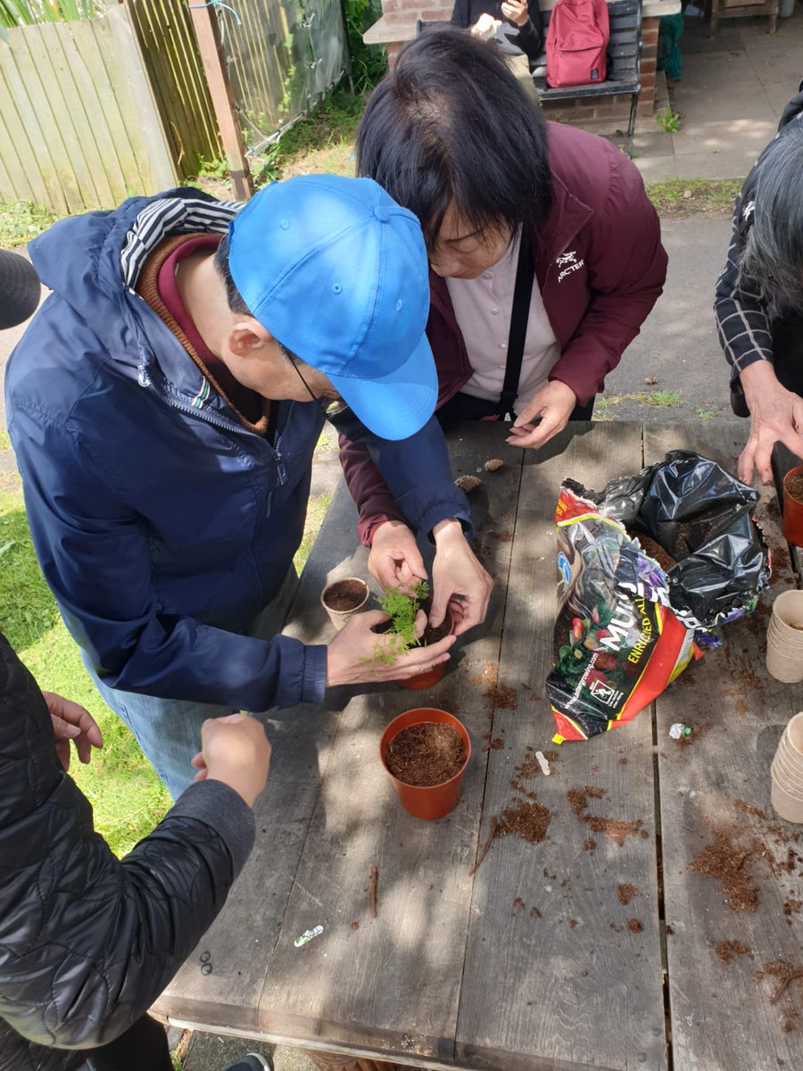 MigrantsSupport's tweet image. Introduction to gardening and Allotments at Seymour Grove Allotments in Trafford part of our SettleWell project. Thanks to @NWRSMP for the support.