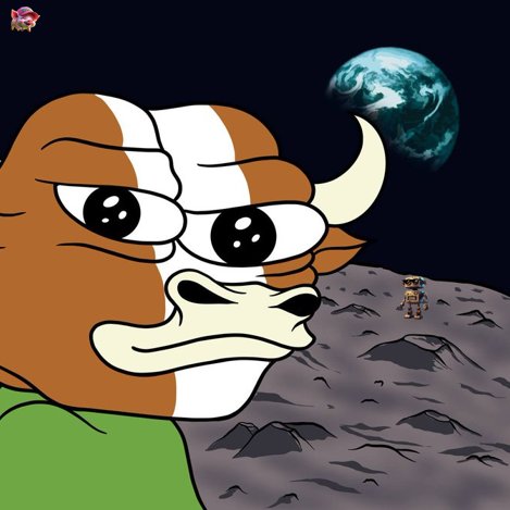 What's one #Crypto that’s going to recover and go to the moon?