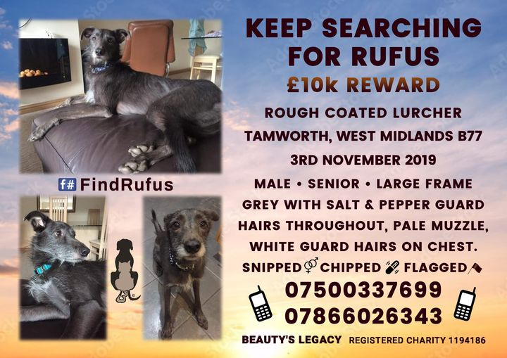 PDRescue's tweet photo. Please remember Rufus, Rosie & Billy if you see a grey rough-coated dog either found on-line, or sighted in your area.
https://t.co/Pb9DH0hMCP
https://t.co/VTHwE4b2Rl
https://t.co/3461h9q0cd
https://t.co/HZJgweOfsV
https://t.co/K3Yd8s3oWg
https://t.co/RawxAcuNrY https://t.co/tPbQT2bb8z