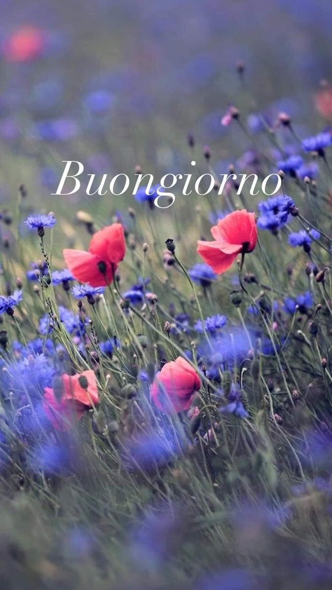 RITABIANCHi56 tweet media