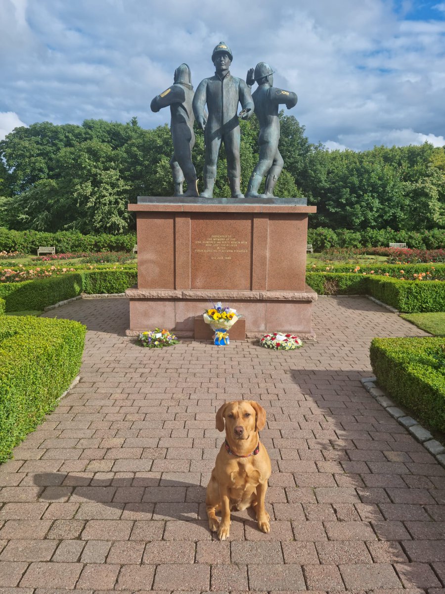 Integrity HSE (@integrity_hse) on Twitter photo Integrity HSE will use today to remember those lost and effected by events 36 years ago on Piper Alpha. If you think you may be suffering from the aftereffects of an event then contact enquiries@integrityhse.co.uk. #leadership #healthandsafety #emergencyresponse #resilience Integrity HSE will use today to remember those lost and effected by events 36 years ago on Piper Alpha. If you think you may be suffering from the aftereffects of an event then contact enquiries@integrityhse.co.uk. #leadership #healthandsafety #emergencyresponse #resilience