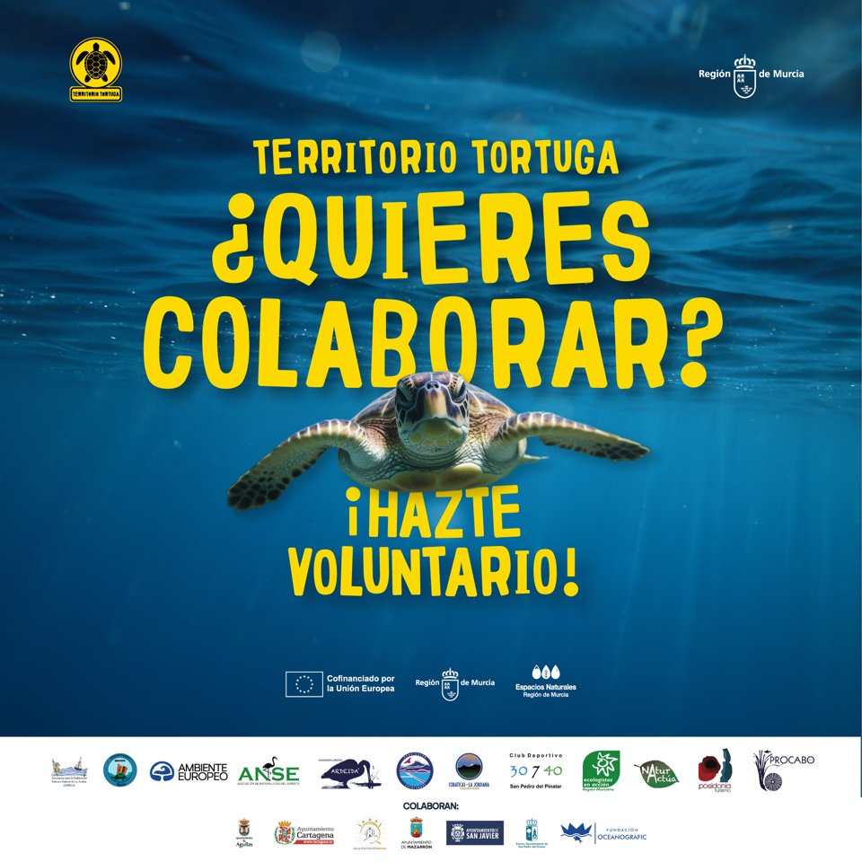 posidoniaturism's tweet image. Orgullosos de esta misión turística y medioambiental en nuestra región de Murcia #territoriotortuga .el turismo más allá de una actividad económica sino también de aportación a un lugar mejor.

¿Te unes a nuestro grupo de voluntarios? Por ellas 🐢 Por todos!🌍
#territoriotortuga