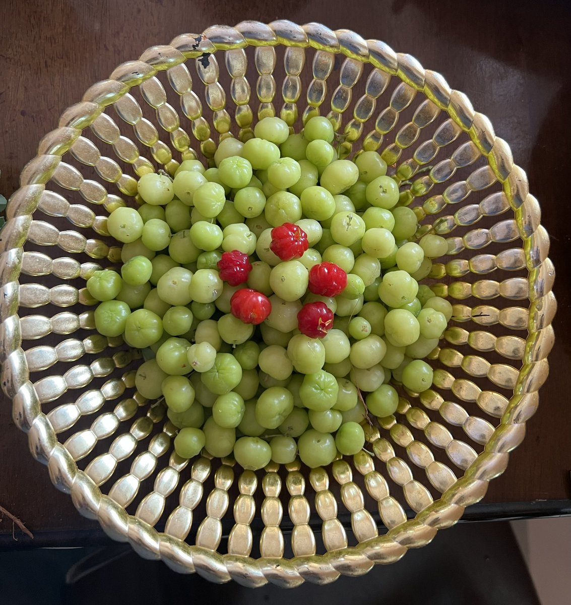 swaminathaniisc's tweet image. Tropical berry fruits that have many beneficial medicinal properties! The green one is called Phyllanthus Acidus or Arai Nellikkai (Tamil). The red one is called Surinam berry (Eugenia Uniflora). Both berries are rich in vitamin C and flavonoids.