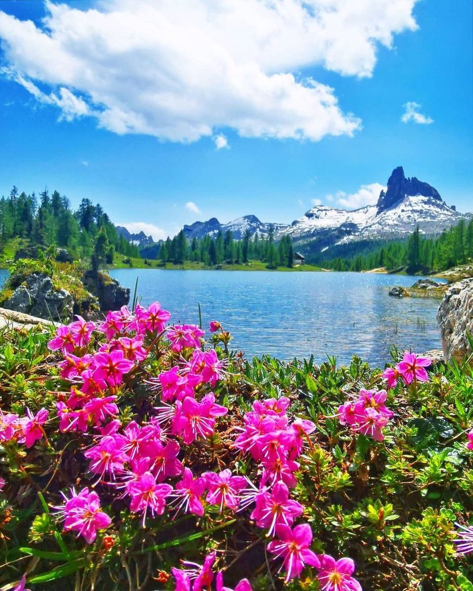 A beautiful lake surrounded by mountains and flowers.☺️ Have a beautiful weekend 🌺