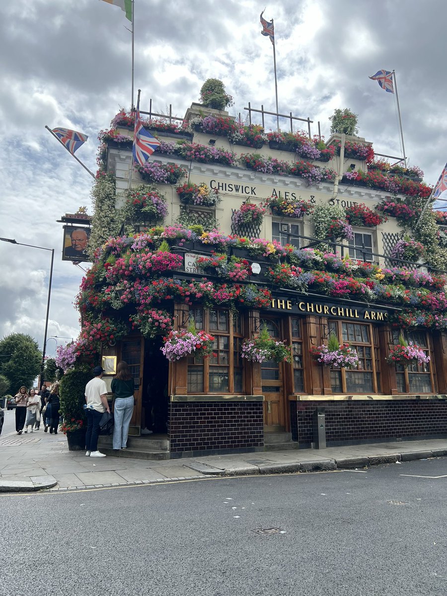 Larva Chads tweet media