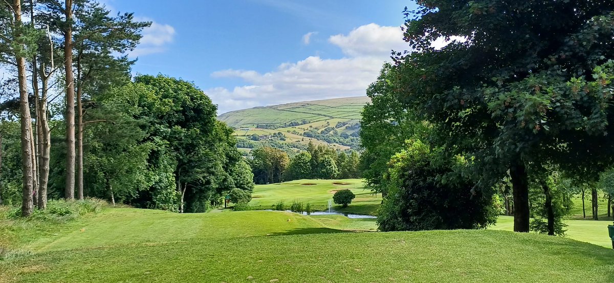 Trilby Trophy (@trilbytrophy) on Twitter photo 