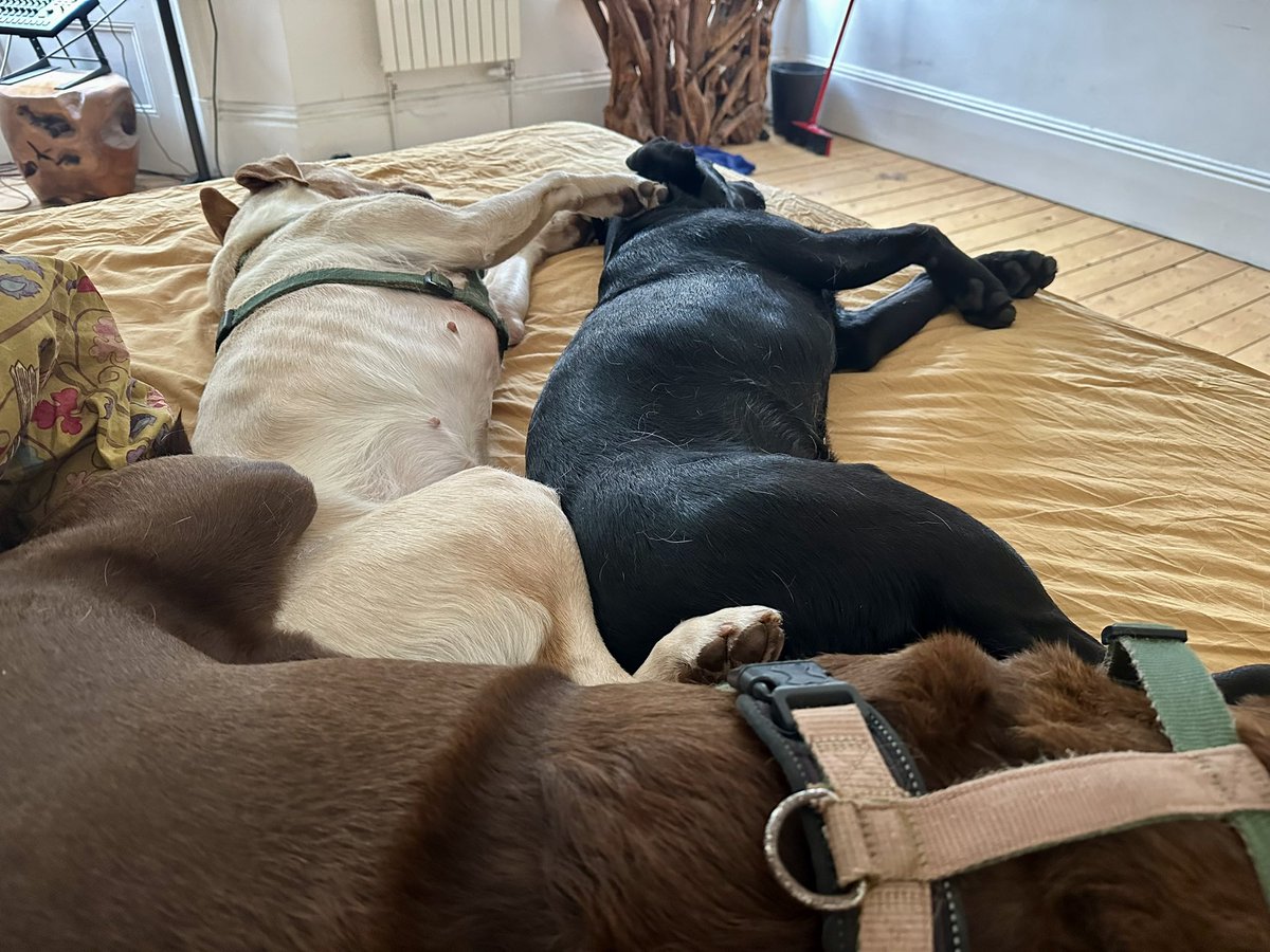 kwoade's tweet image. Parallelolabs lying porkendicular to the hippopotamuse. 

Formula for clearing the area: 3 x pi. 

#GeometryToday