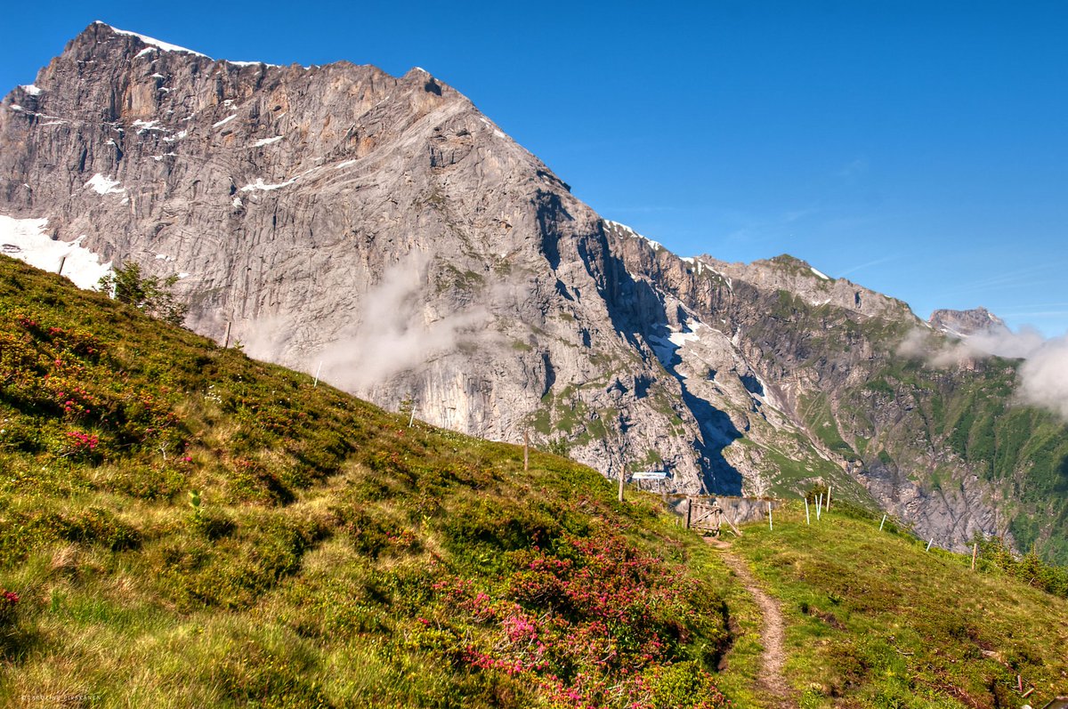 juiz_nidwalden's tweet photo. Energie tanken auf dem Hochplateau Fürenalp 🥾☀️
👉 https://t.co/e8N4giPpIz
#Wassertipp #tellpass #Engelberg #Switzerland https://t.co/GzhIujAe5T