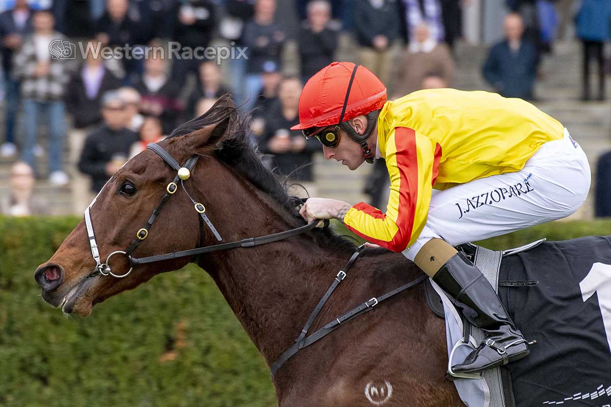 Western Racepix tweet media